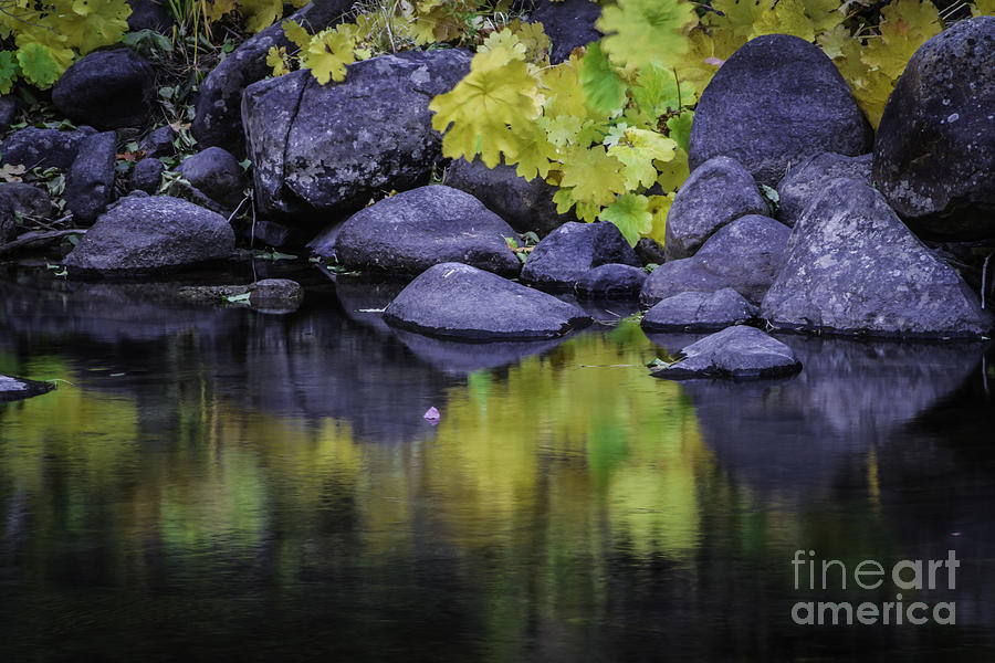 Round Rock Photograph - Reflections Of Yellow And Green by Mitch Shindelbower