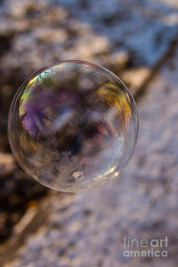 Reflections on a Bubble Photograph by Jim McCain