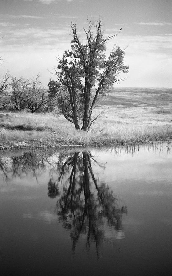 Reflections on a prairie Pond Photograph by HW Kateley