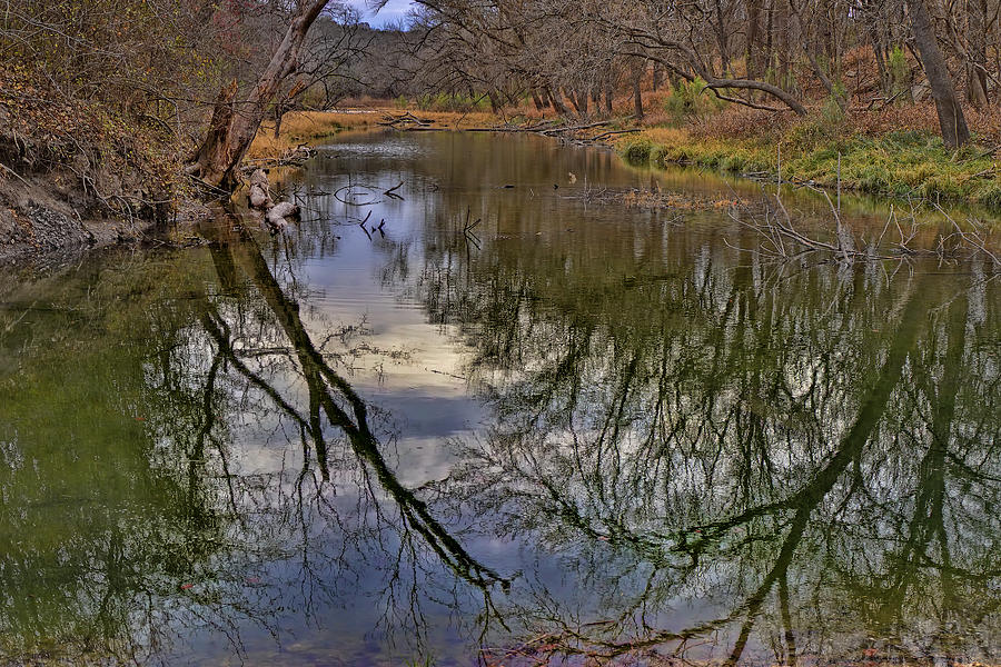Reflections on a Warm Winter Day Photograph by Gary Holmes