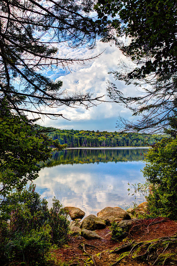 Reflections on Bubb Lake in the Adirondacks Photograph by David Patterson