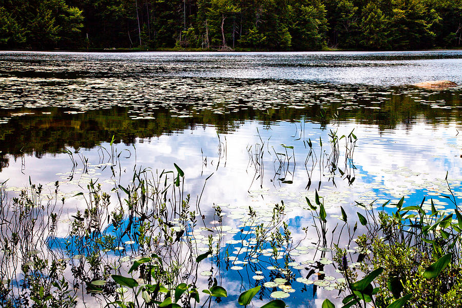 Reflections on Cary Lake Photograph by David Patterson