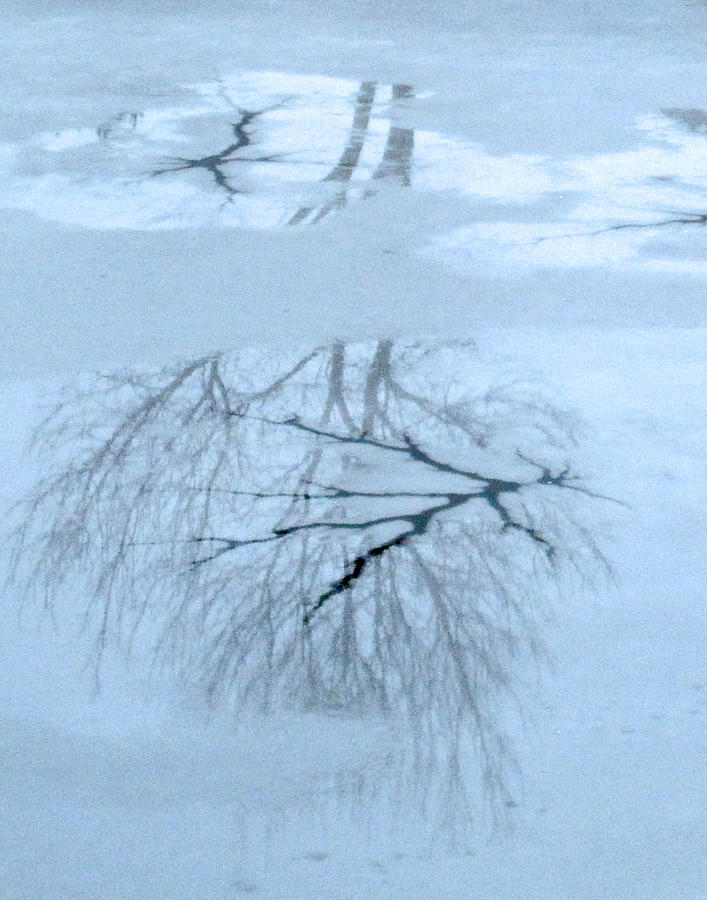 Reflections on Ice Photograph by George Harth