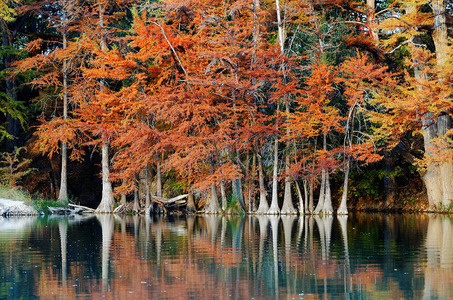 Reflections on The Frio River - Garner State Park - Texas Hill Country Photograph by Silvio Ligutti
