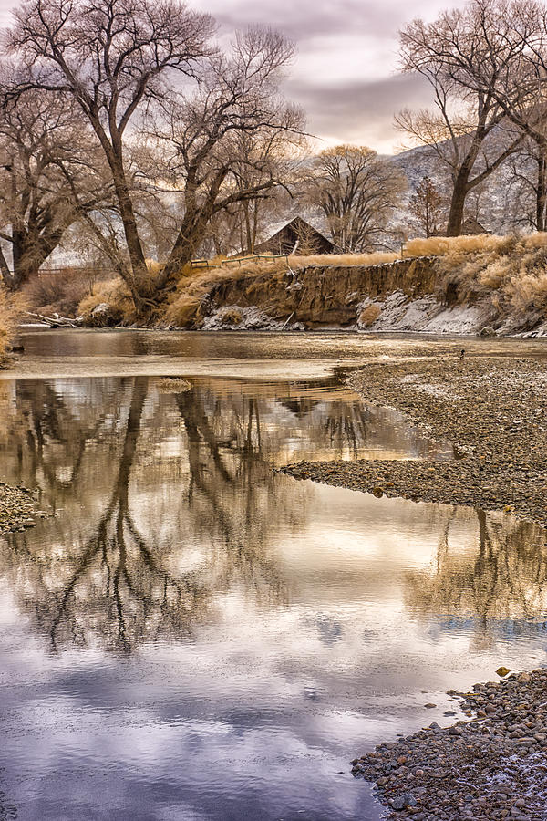 Reflections on the Truckee Photograph by Janis Knight
