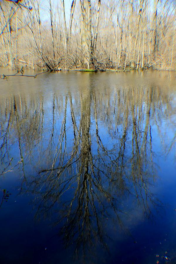 Reflections Photograph