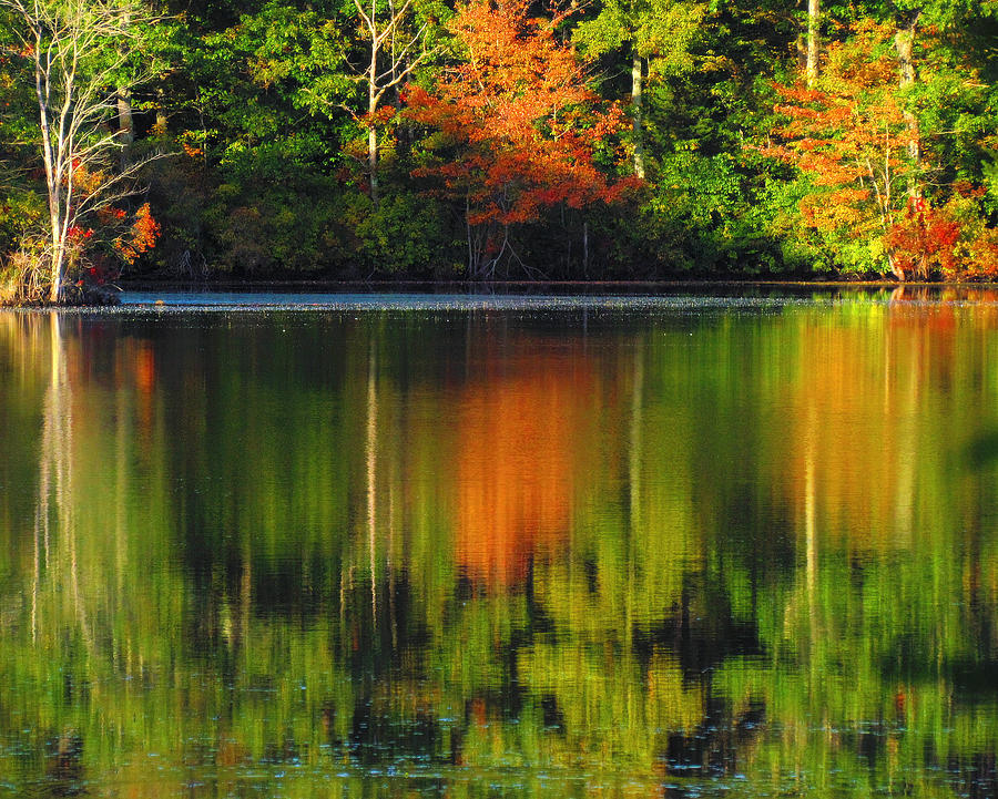 Reflective Autumn Photograph by Lori Lafargue
