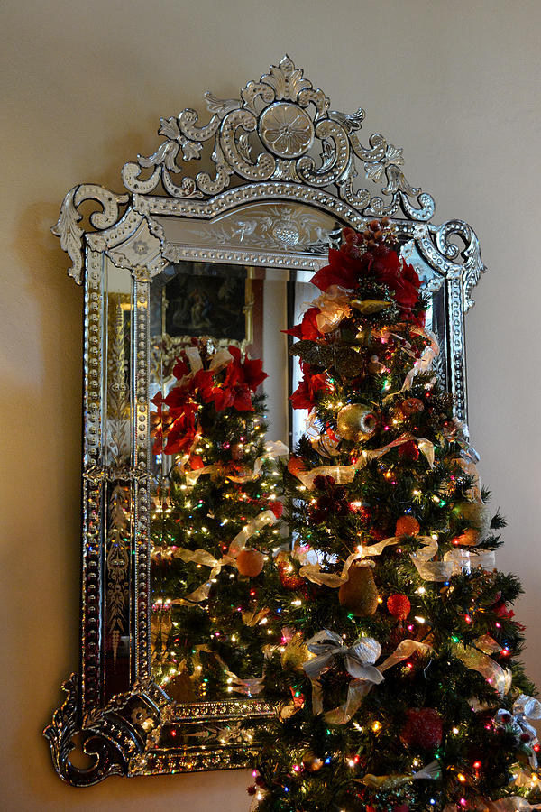 Reflective Christmas Tree Photograph by Judy Wanamaker