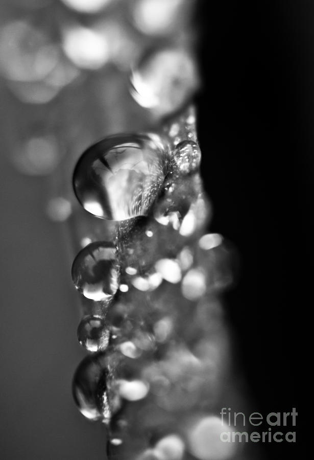 Reflective Rain Photograph by Cheryl Baxter