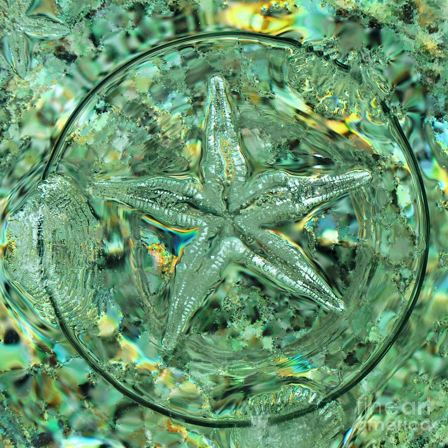 Refraction Star Photograph by Josephine Cohn