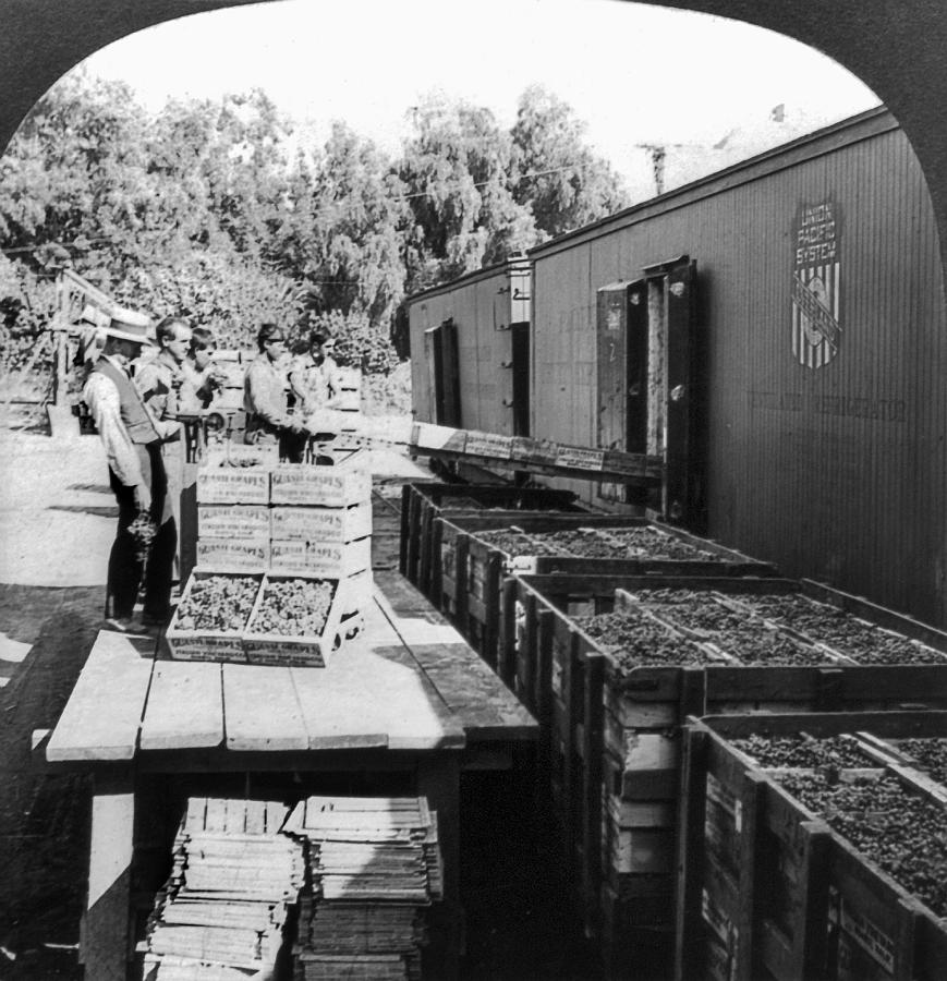 Refrigerator Car Painting by Granger Refrigerator Car Painting by Granger