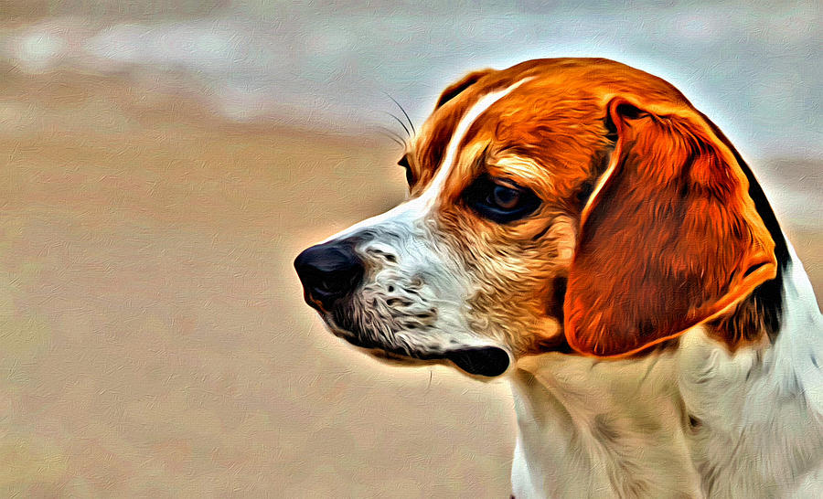 Regal Beagle Photograph by Alice Gipson