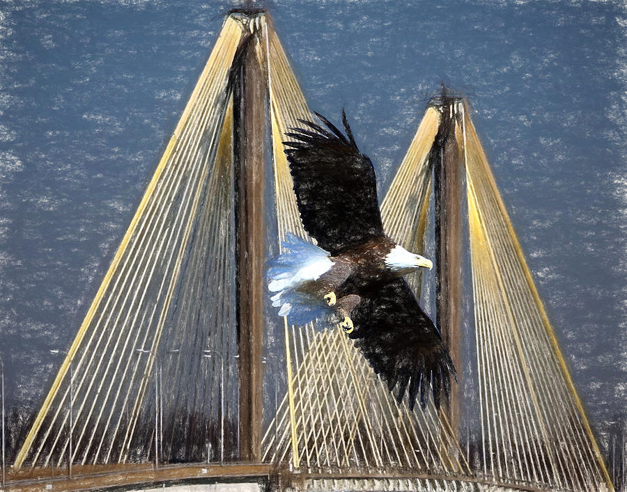 Regal Eagle Photograph by John Freidenberg