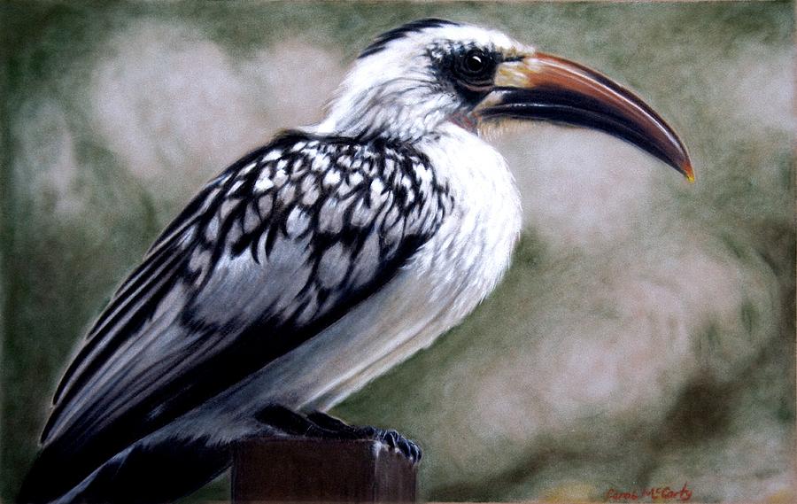 Regal Hornbill Painting by Carol McCarty