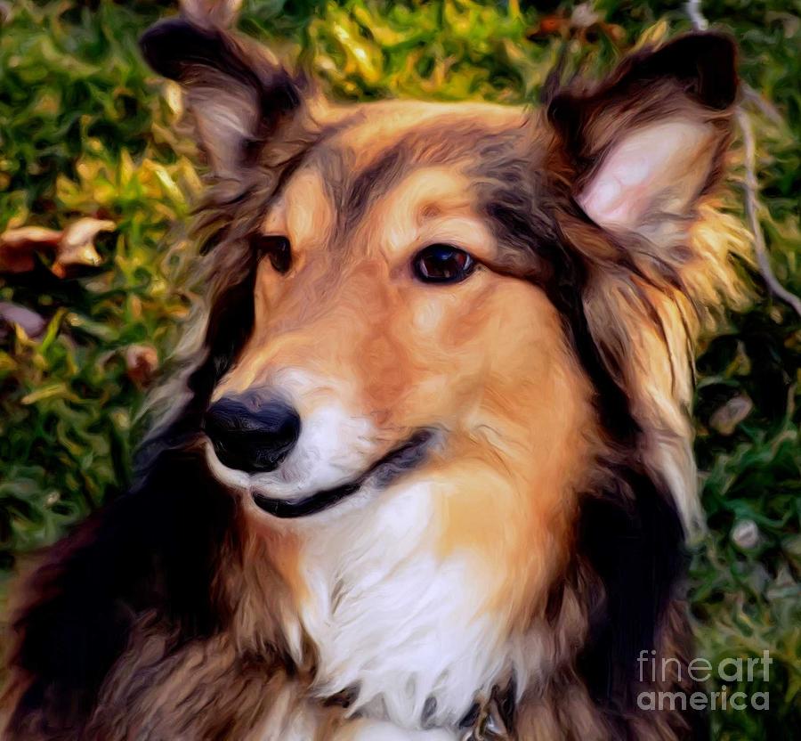 Regal Shelter Dog Photograph by Luther Fine Art
