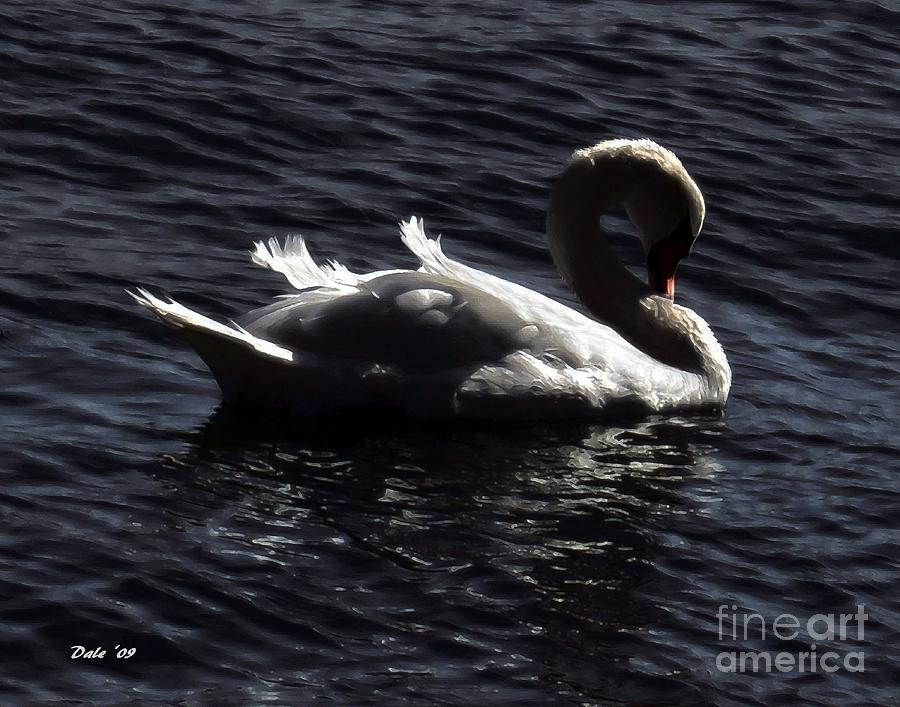 Bird Digital Art - Regal Swan by Dale   Ford