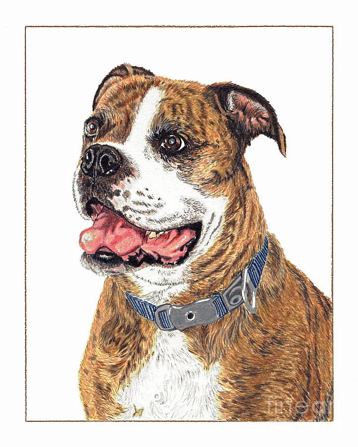 Dog Painting - Reggie by Val Miller