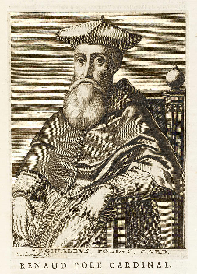 Reginald Pole (1500 - 1558) Cardinal Drawing by Mary Evans Picture ...