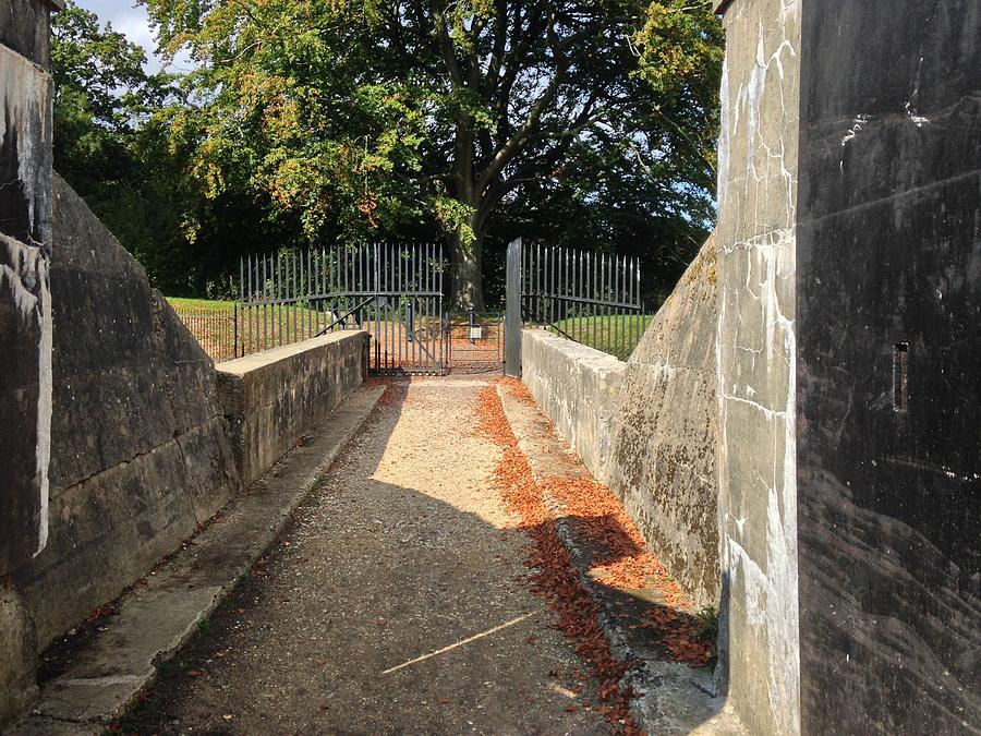 Reigate Hill Fort Gates Photograph by Clare Burse - Fine Art America