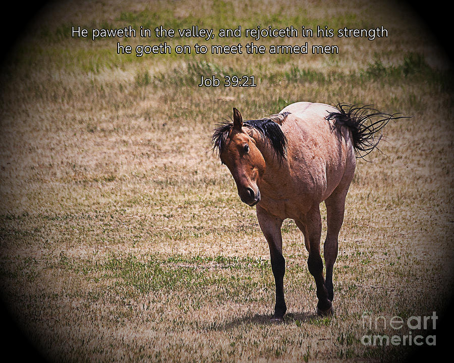 Nature Photograph - Rejoice In His Strength by Janice Pariza