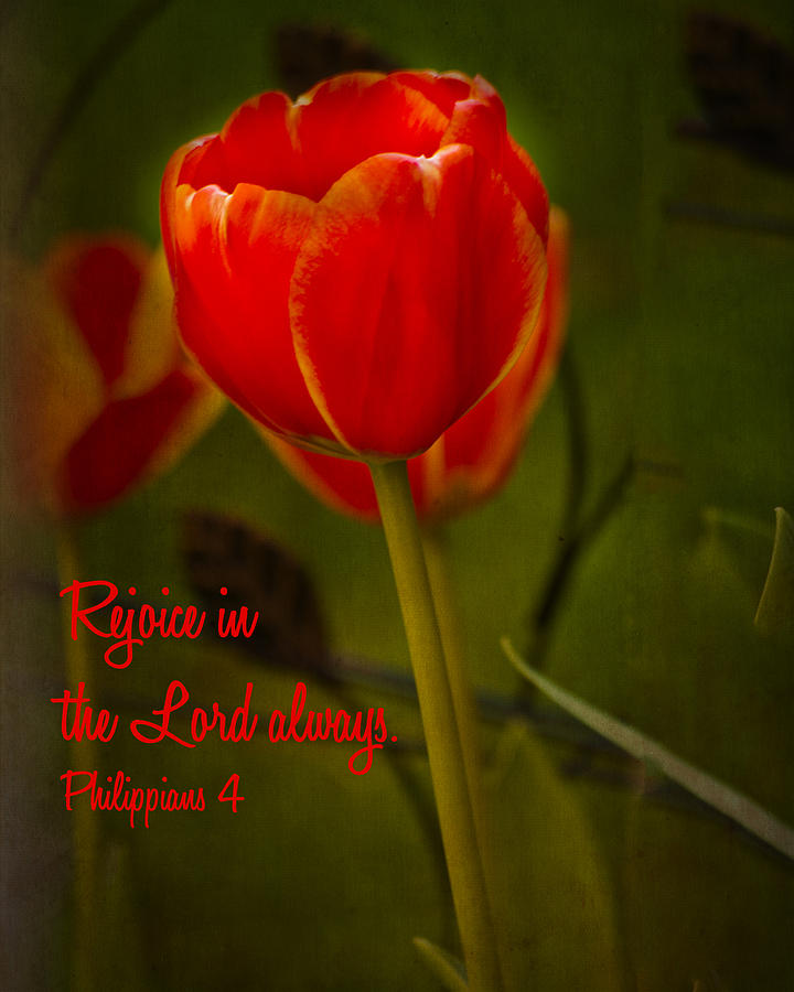 Rejoice in the Lord Photograph by Bill Barber