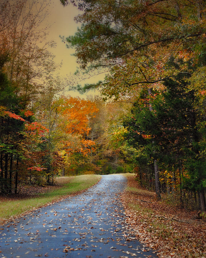 Rekindled Spirit - Autumn Landscape Scene Photograph by Jai Johnson