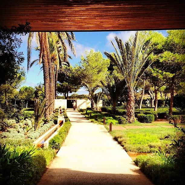 November Photograph - #relax & ##de-stress Here In #mallorca by Balearic Discovery