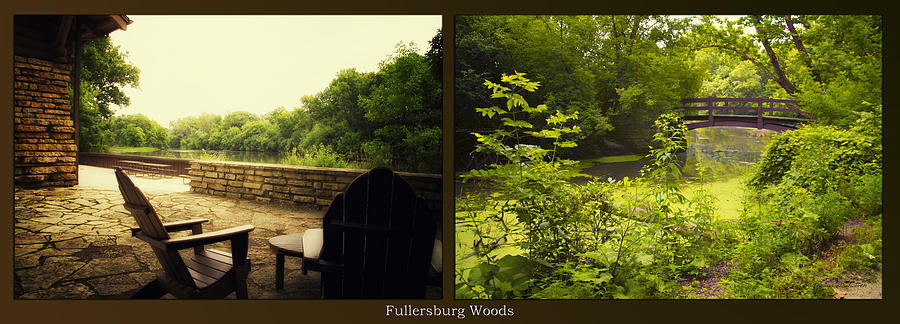 Relaxing By The River Bridge Fullersburg Woods 2 Panel Photograph by Thomas Woolworth