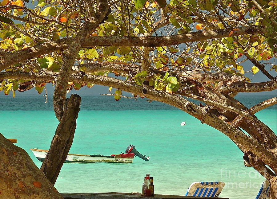Jamaican Beach Photograph by Linda Bianic