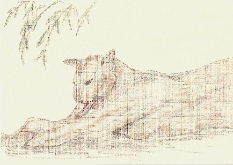Animal Drawing - Relaxing Panther by Rosalie Scanlon