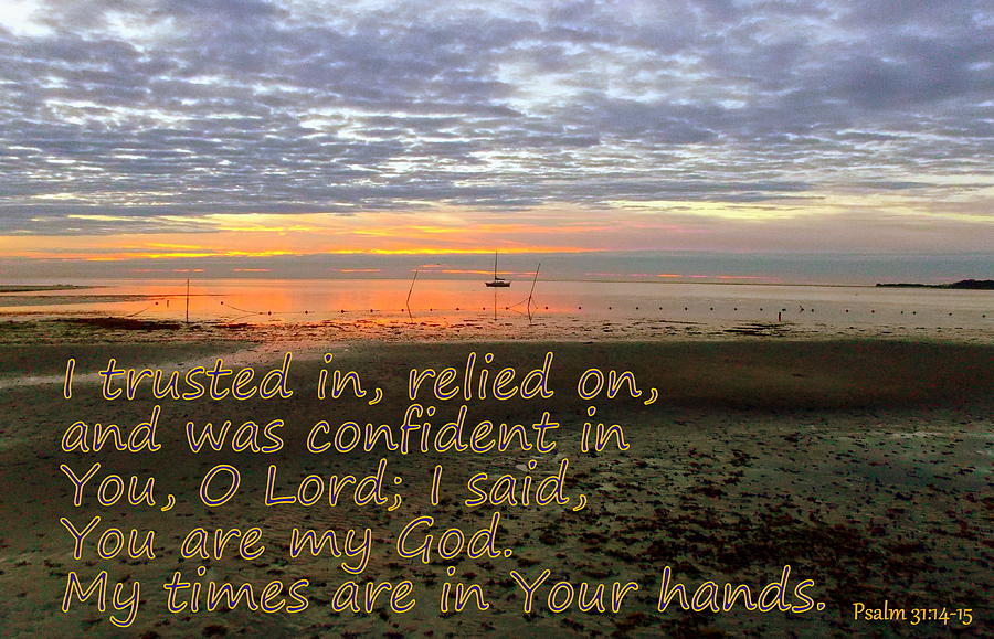 Relied on Trusted on the Lord Photograph by Sheri McLeroy
