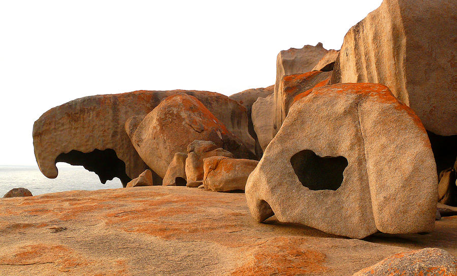 Remarkable Rocks Photograph by Evelyn Tambour