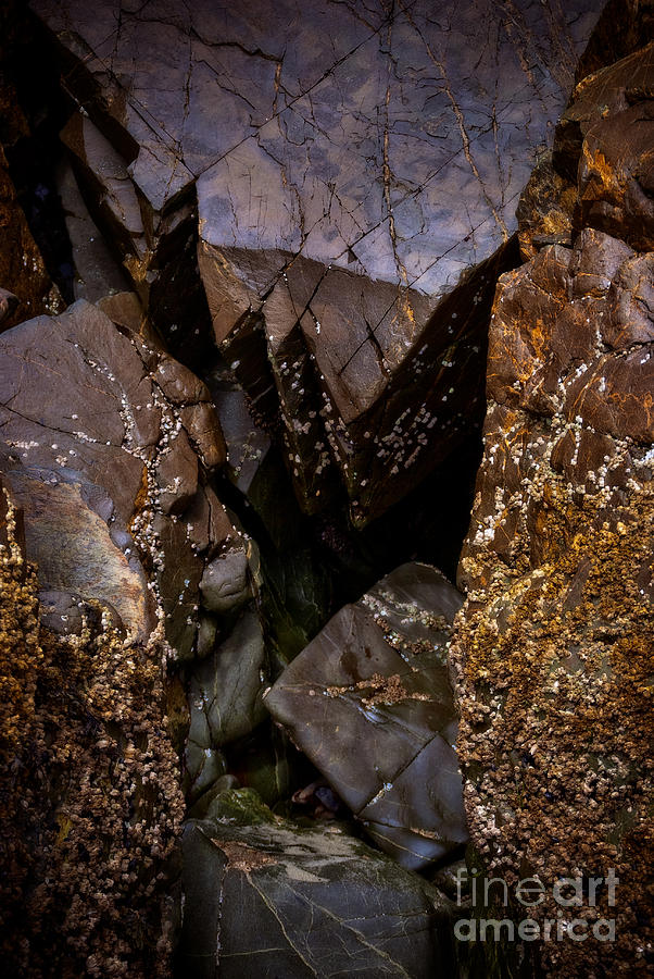 Nature Photograph - Remarkable Rocks by Venetta Archer