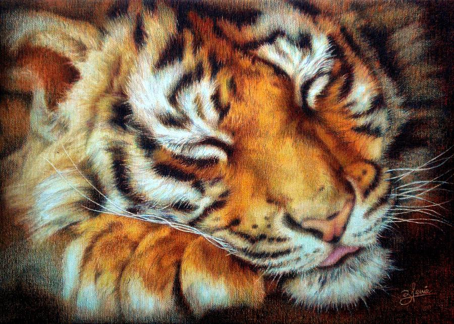 Tiger Drawing - Remember D Baja by Bleuie  Acosta