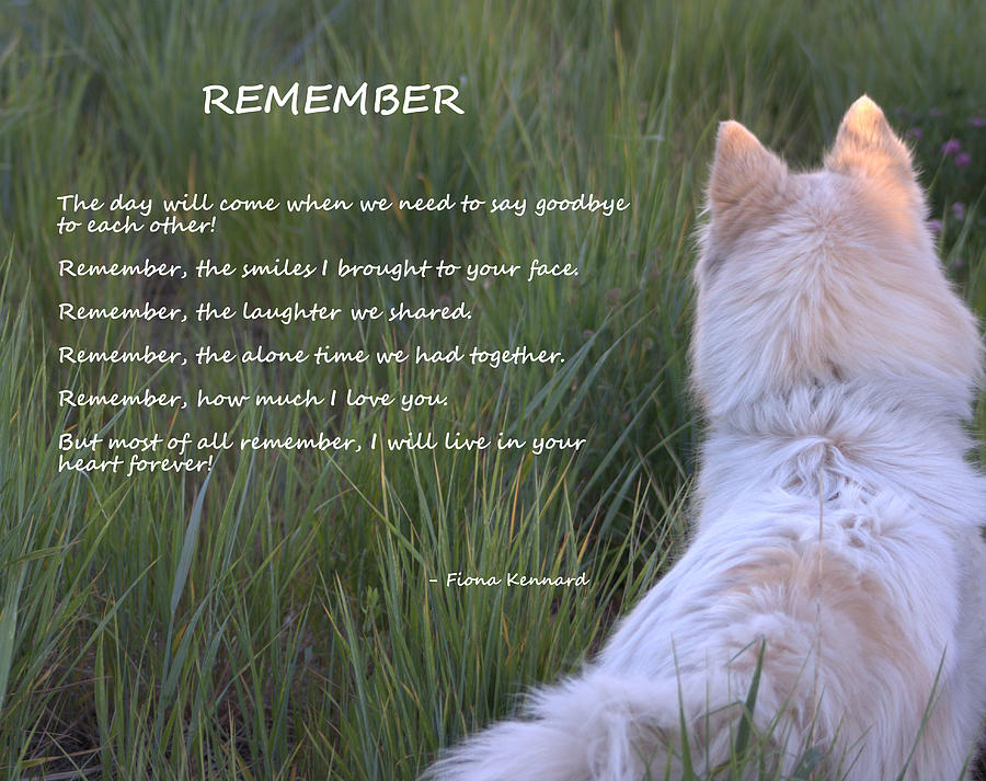 Remember Photograph by Fiona Kennard