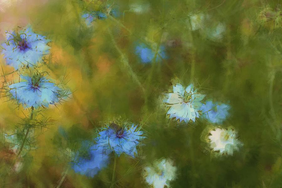Flower Photograph - Remembering Summer by The Art Of Marilyn Ridoutt-Greene