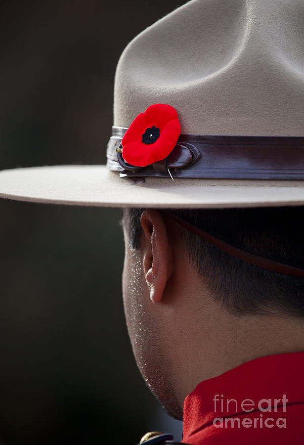 Remembrance Day Photograph by Chris Dutton