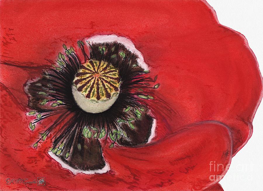 Remembrance Drawing by J McCombie