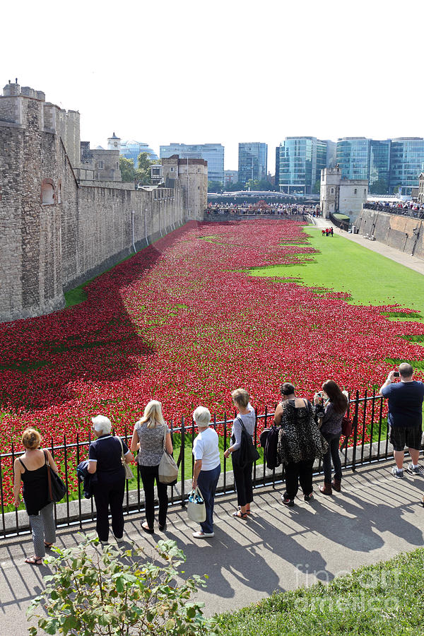 Remembrance Poppies at Tower of London Photograph by Julia Gavin