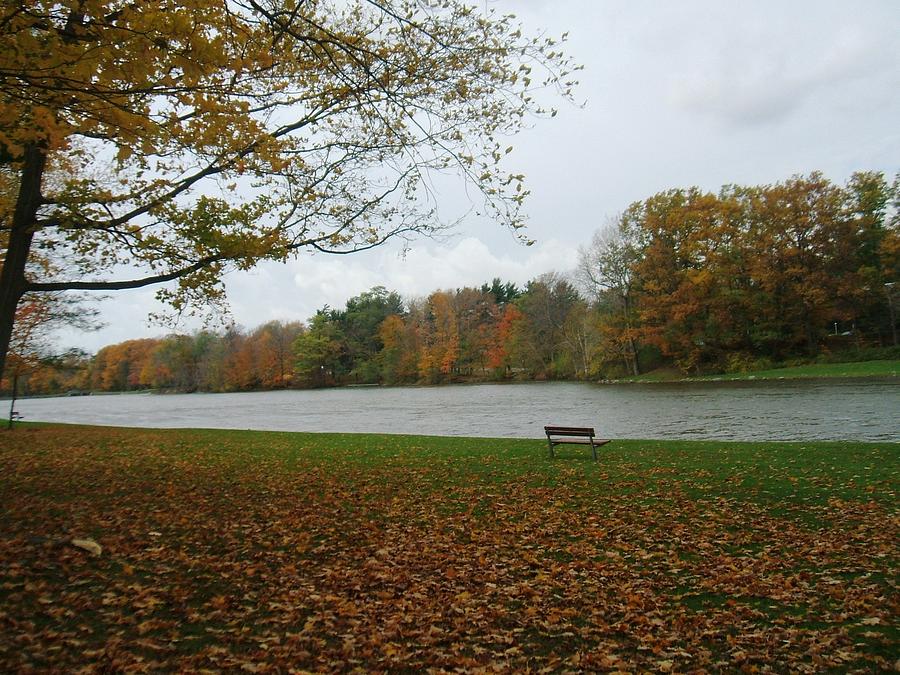 Fall Photograph - Reminiscent park bench by Suzanne Perry