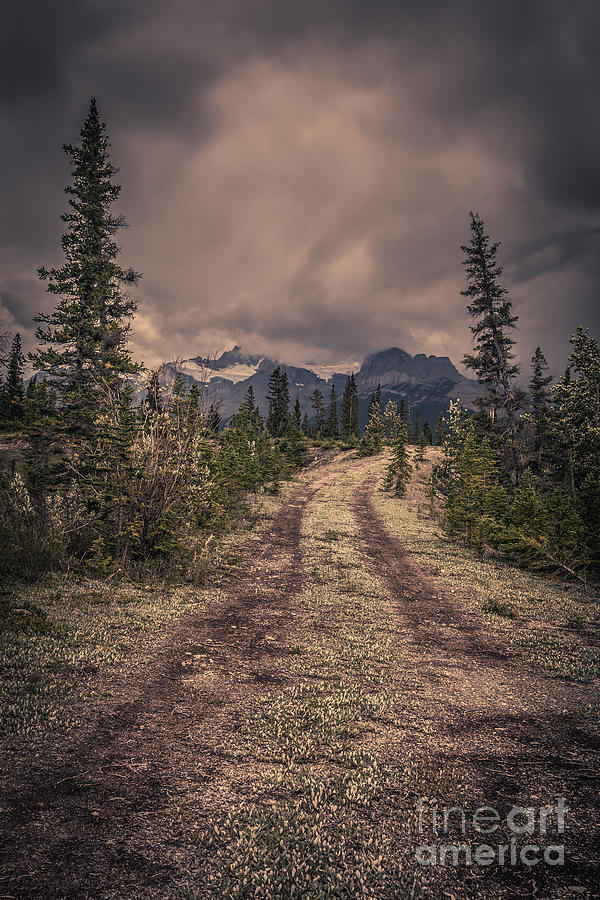 Banff National Park Photograph - Remote Mountain Road by Edward Fielding