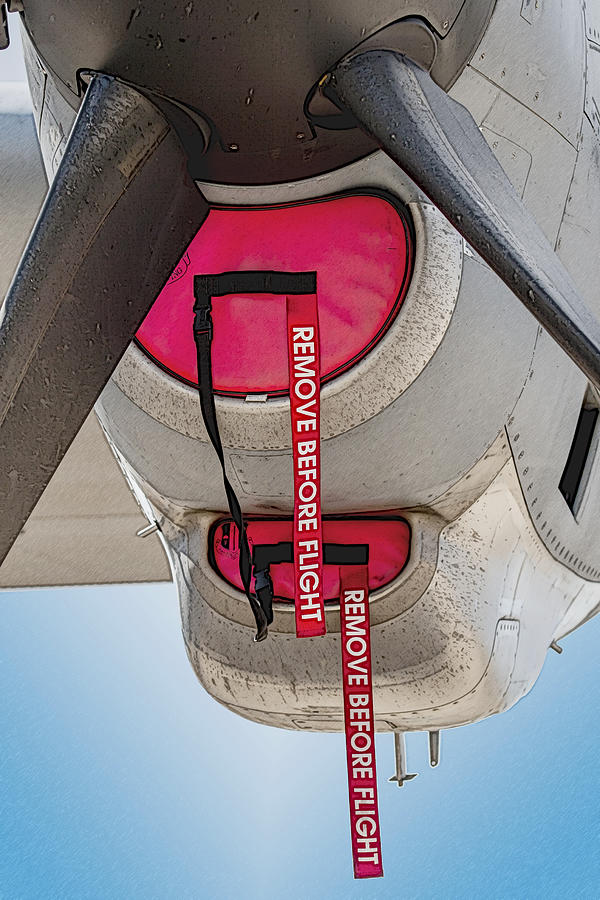 Remove Before Flight Photograph by Melinda Ledsome