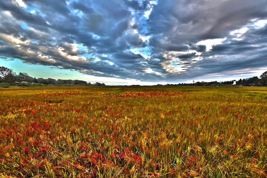Remsenburg Red Marsh Photograph by Robert Seifert