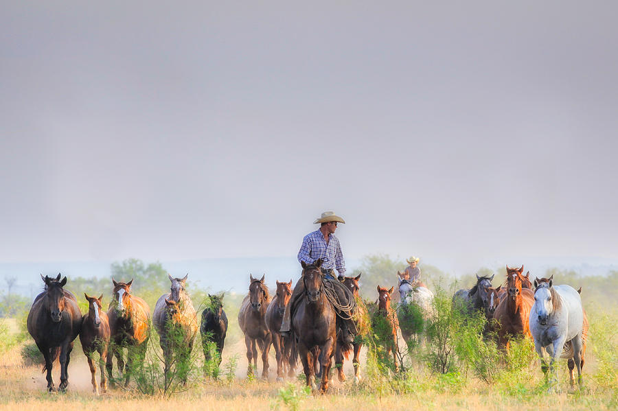 Remuda Run Photograph by Kelli Brown - Fine Art America