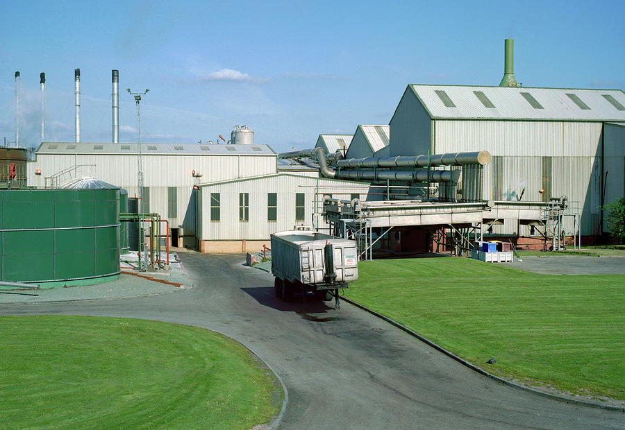 Rendering Plant Photograph by Robert Brook/science Photo Library - Pixels