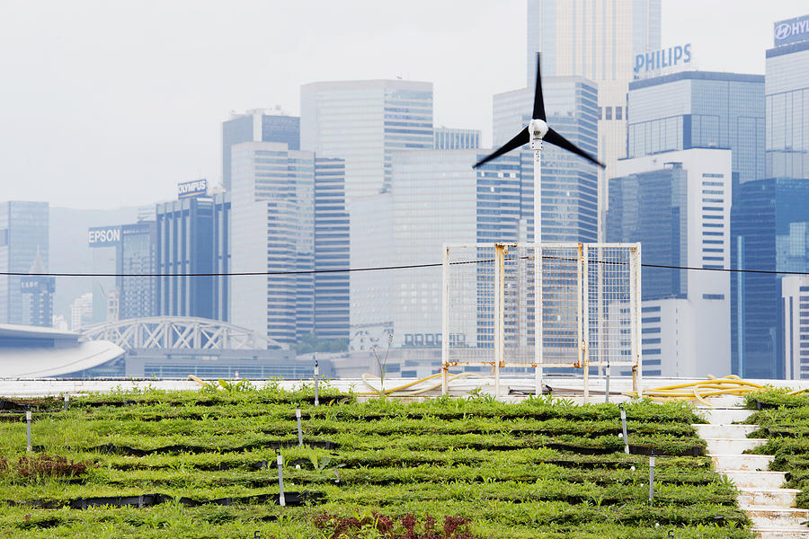 Renewable Energy Green Urban Farming in Hong Kong China Photograph by Boogich