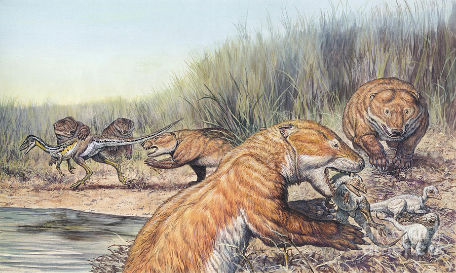 Repenomamus Mammals Hunting For Prey Digital Art by Mark Hallett