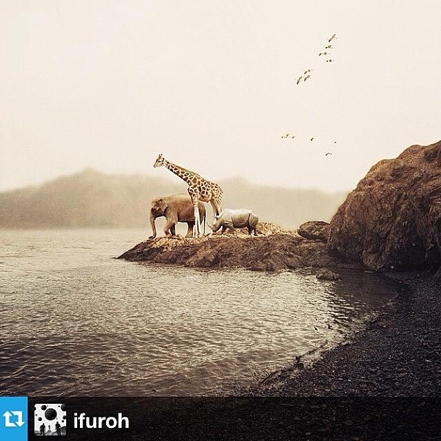 Repost Photograph - #repost From @ifuroh by Usman Ali