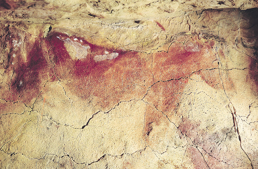Mural Photograph - Representation Of An Animal, C.15000 Bc Cave Painting by Prehistoric