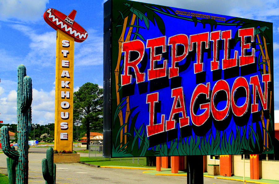 Reptile Lagoon Photograph by Randall Weidner